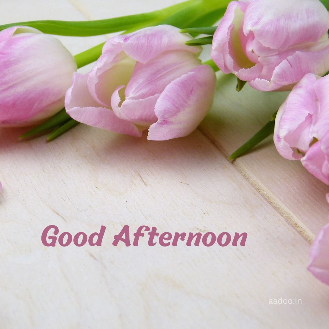 best-50-good-afternoon-images-aadoo-good-morning-images-status