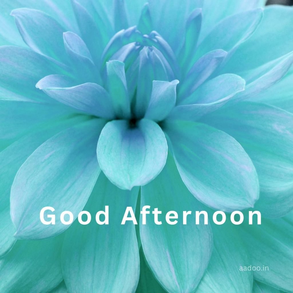 Good Afternoon Images, Good Afternoon Images with Quotes, Lunch Good Afternoon Images, Beautiful Good Afternoon Images, Whatsapp Good Afternoon Images, aadoo.in