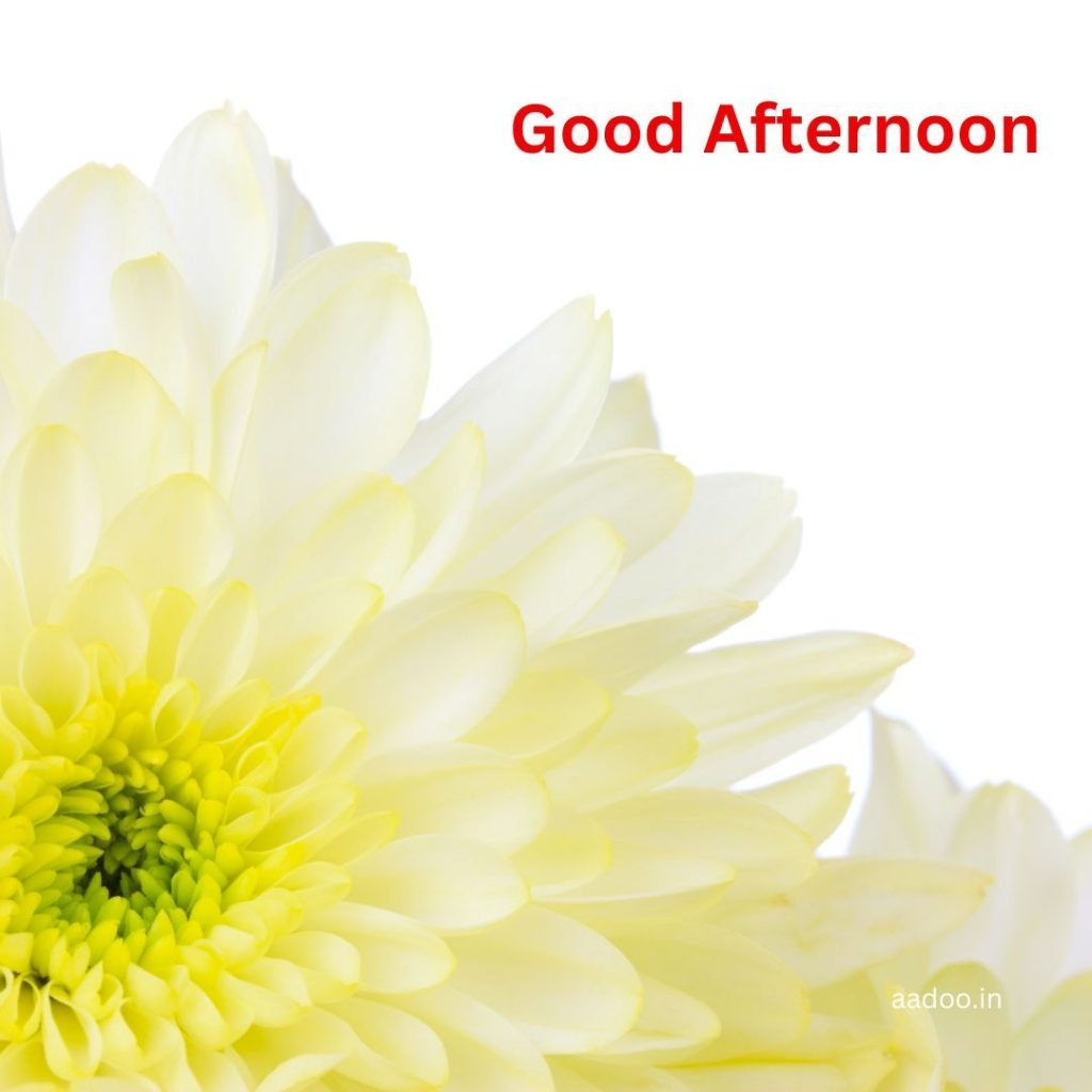Good Afternoon Images, Good Afternoon Images with Quotes, Lunch Good Afternoon Images, Beautiful Good Afternoon Images, Whatsapp Good Afternoon Images, aadoo.in