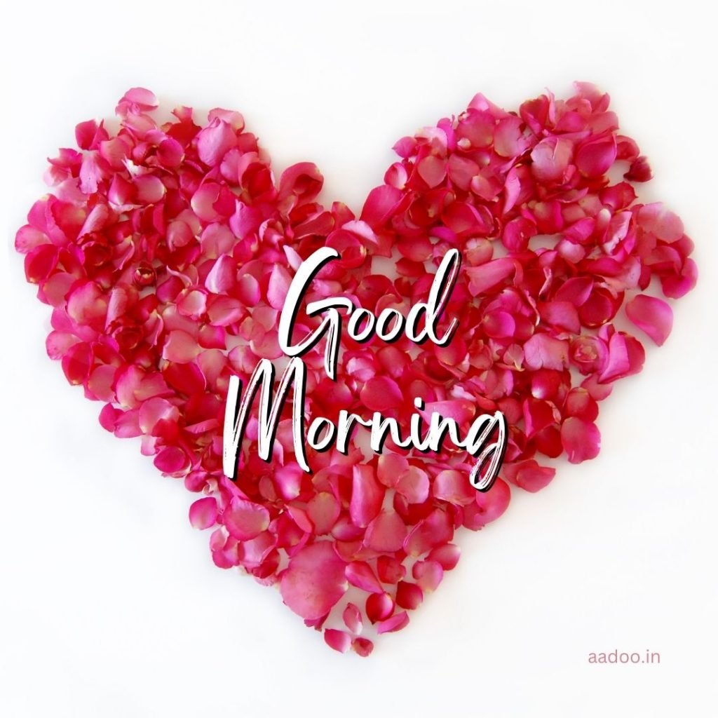 Good Morning Love Images, Good Morning Love Images HD, Special Love Good Morning Images, Romantic Good Morning Love Images, Good Morning Love Images Download, aadoo.in