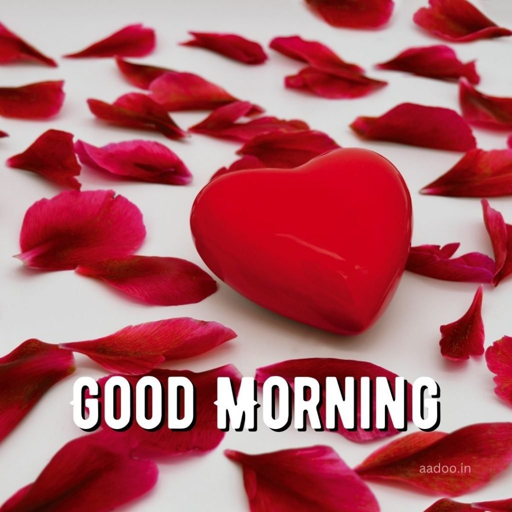 Good Morning Love Images, Good Morning Love Images HD, Special Love Good Morning Images, Romantic Good Morning Love Images, Good Morning Love Images Download, aadoo.in