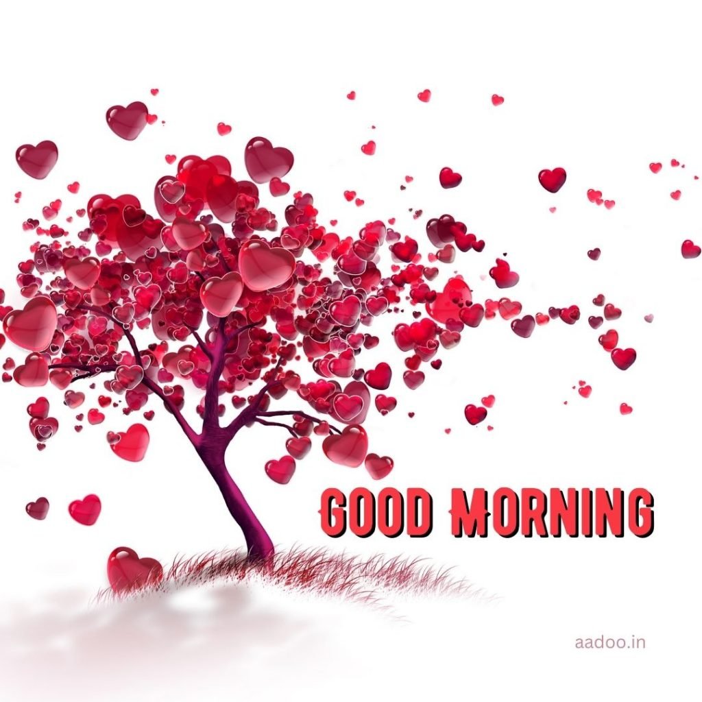 Good Morning Love Images, Good Morning Love Images HD, Special Love Good Morning Images, Romantic Good Morning Love Images, Good Morning Love Images Download, aadoo.in