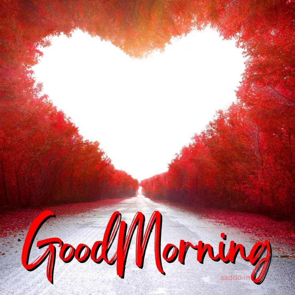 Good Morning Love Images, Good Morning Love Images HD, Special Love Good Morning Images, Romantic Good Morning Love Images, Good Morning Love Images Download, aadoo.in