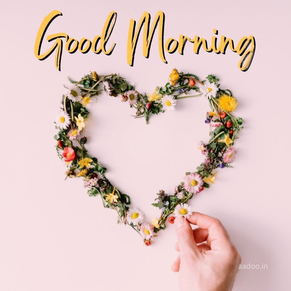 Good Morning Love Images, Good Morning Love Images HD, Special Love Good Morning Images, Romantic Good Morning Love Images, Good Morning Love Images Download, aadoo.in
