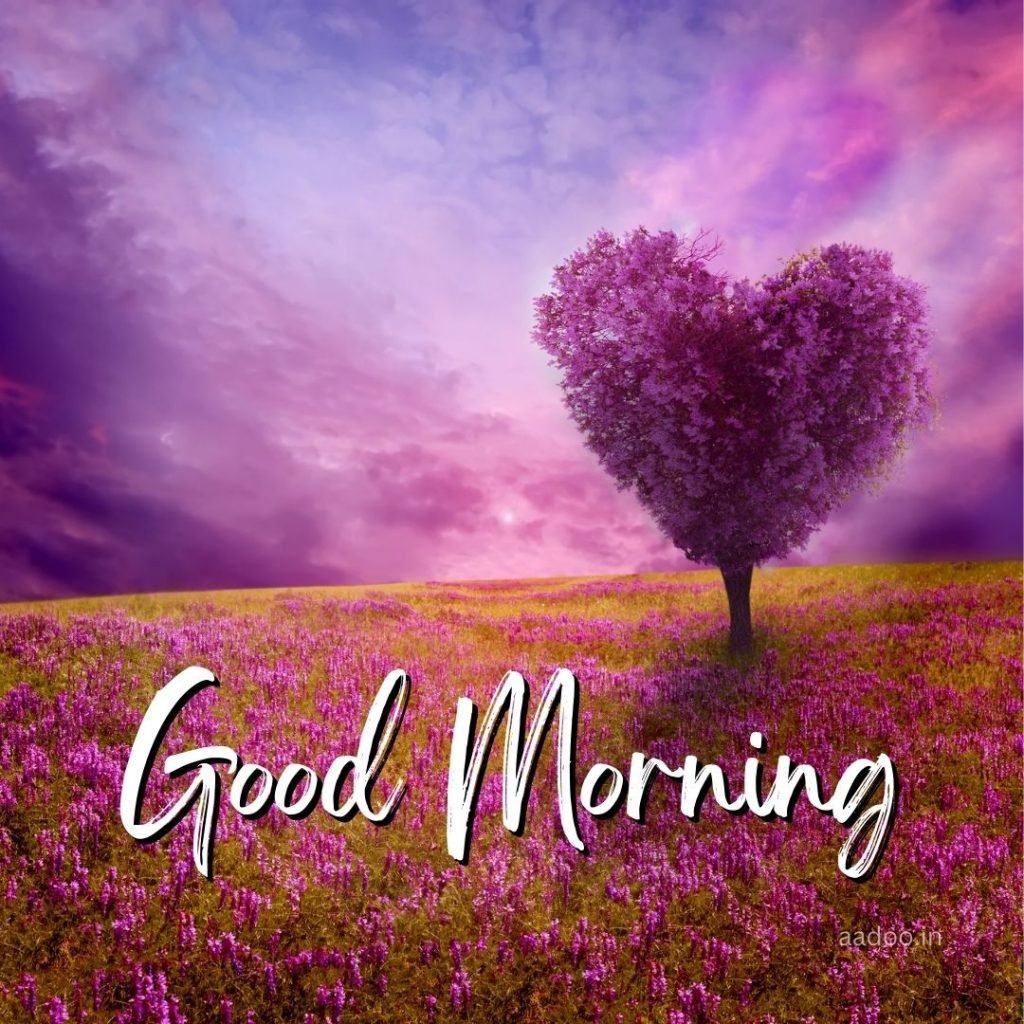 Good Morning Love Images, Good Morning Love Images HD, Special Love Good Morning Images, Romantic Good Morning Love Images, Good Morning Love Images Download, aadoo.in