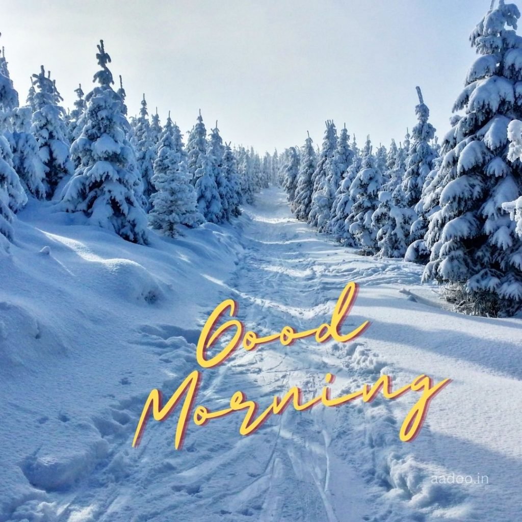 Good Morning Winter Images, Good Morning Images Winter, Good Morning Images Winter Scenes, Good Morning Images, Good Morning Snow Images, Good Morning Winter Season Images aadoo.in
