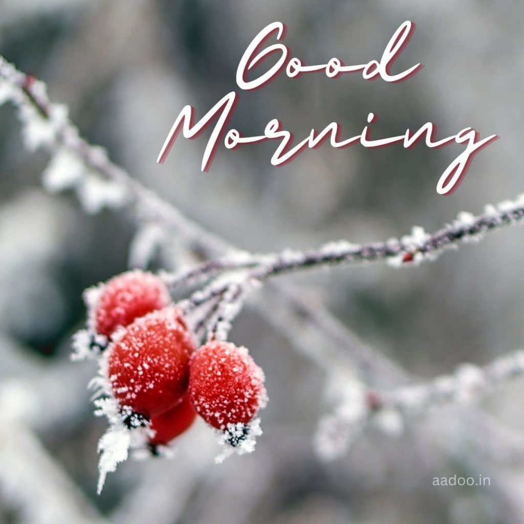 Good Morning Winter Images, Good Morning Images Winter, Good Morning Images Winter Scenes, Good Morning Images, Good Morning Snow Images, Good Morning Winter Season Images aadoo.in