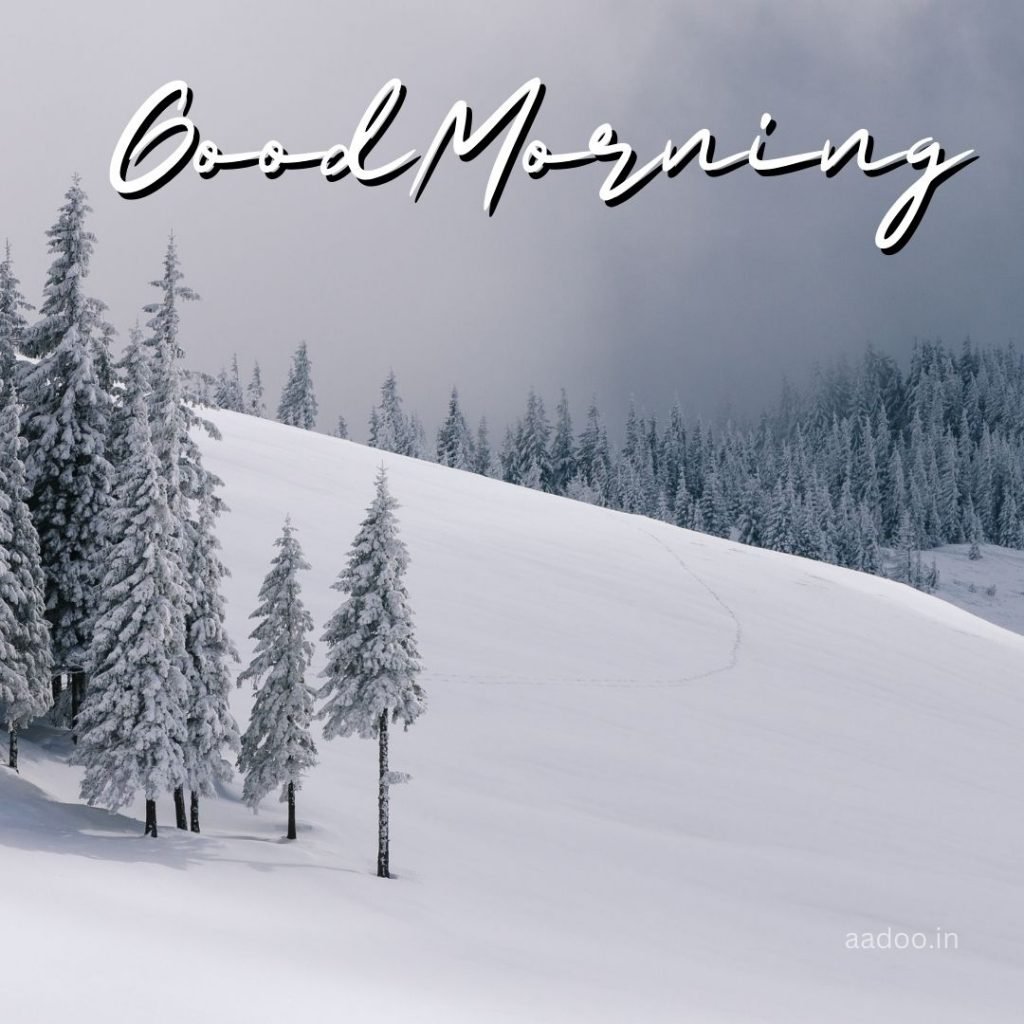 Good Morning Winter Images, Good Morning Images Winter, Good Morning Images Winter Scenes, Good Morning Images, Good Morning Snow Images, Good Morning Winter Season Images, aadoo.in