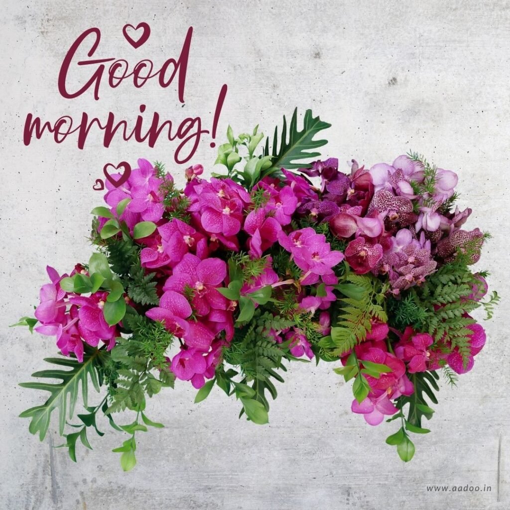 Good Morning Images With Flowers, Good Morning Images With Flowers HD, Good Morning Images With Beautiful Flowers, Good Morning Images With Rose Flowers, Good Morning Flowers HD Photos, Good Morning With Flowers, Good Morning Flowers Pictures for Whatsapp, Good Morning With Fresh Flowers, Good morning Flowers images free download for Whatsapp, Sweet Romantic Good Morning Rose Flowers, Good Morning Flower Images Status, Good Morning Images With Flowers DP, aadoo.in