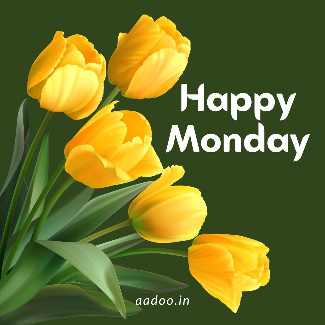 Happy Monday Images, Images of Happy Monday, Happy Monday, Good Morning Happy Monday, Happy Monday Blessings, Happy Monday Quotes, Happy Monday Motivation, aadoo.in