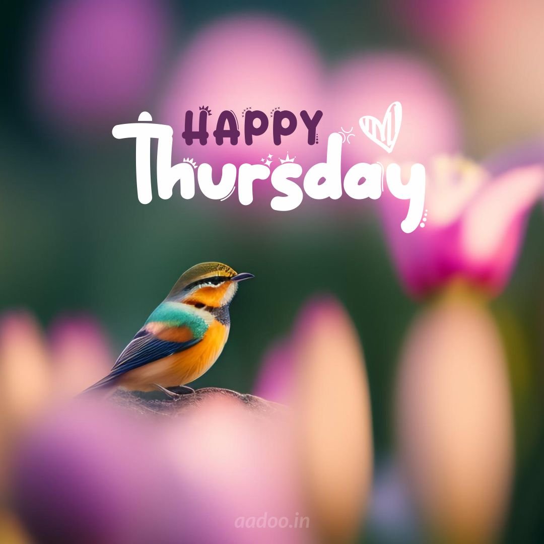 101+ Happy Thursday Images and Quotes - Good Morning Thursday
