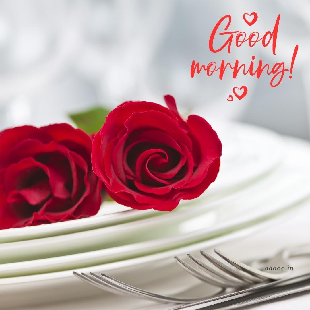 50 Romantic Good Morning Images Romantic