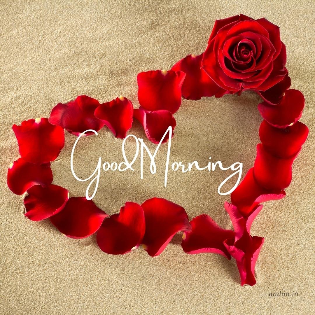 50 Romantic Good Morning Images Romantic