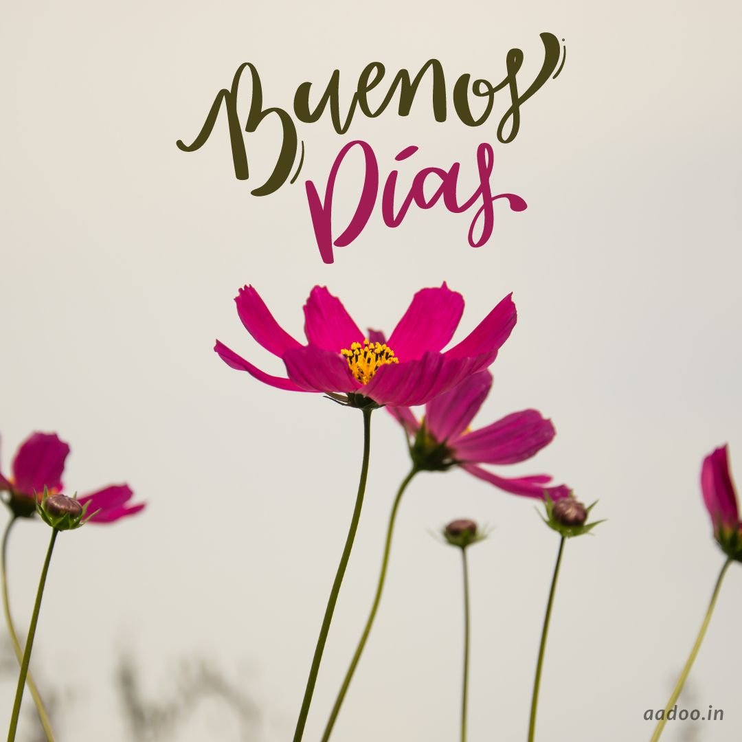 50 Buenos Días Imágenes de Flores