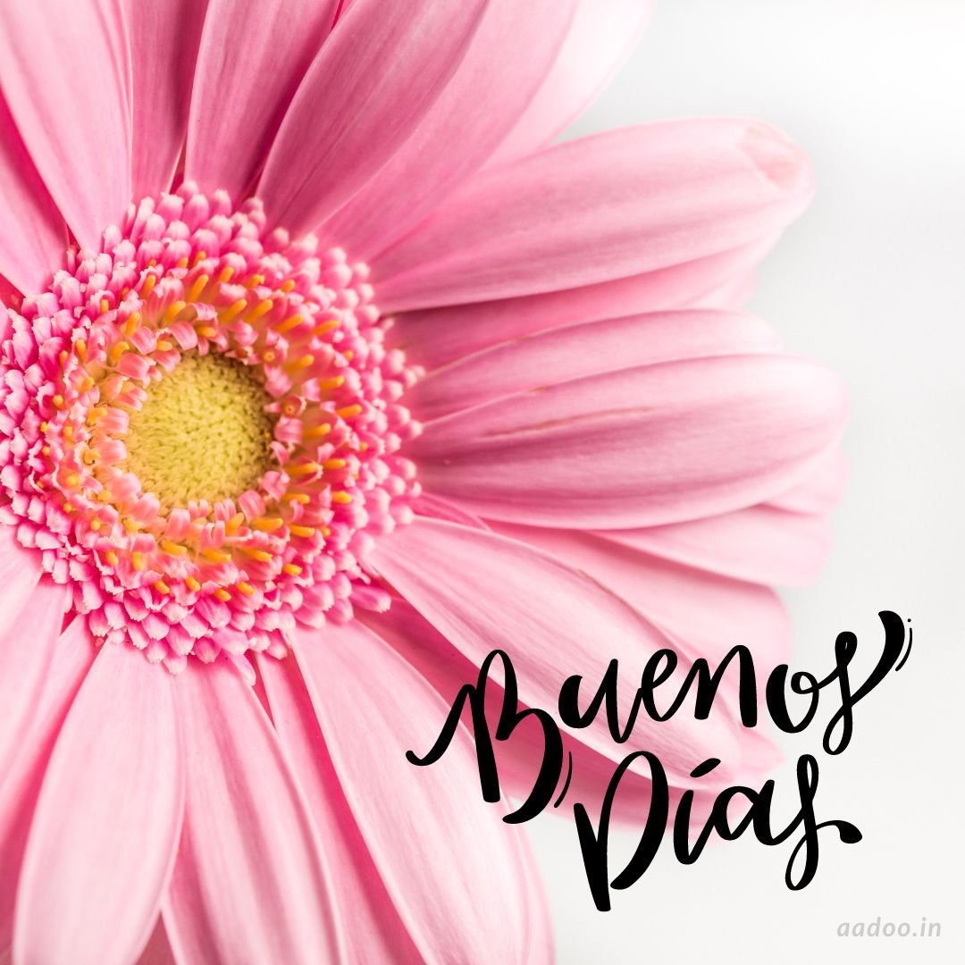 50 Buenos Días Imágenes de Flores