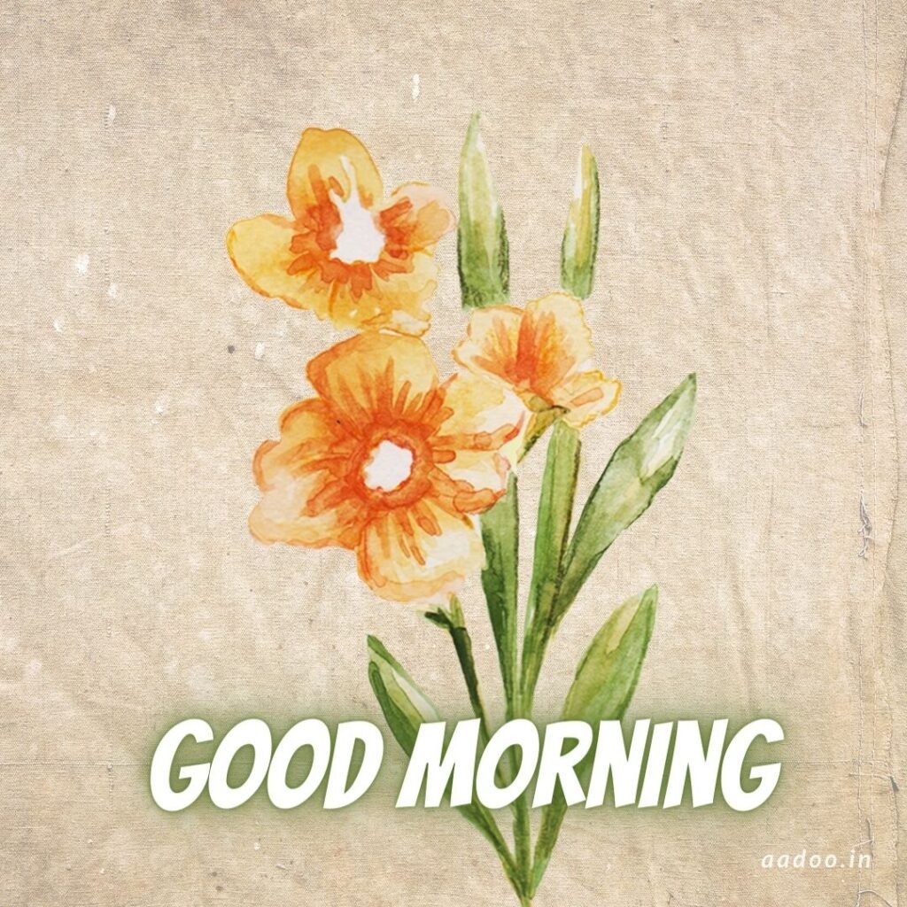 Good Morning Images, New Good Morning Images, Good Morning Images With Quotes, Good Morning Images HD, Special Good Morning Images, Today Special Good Morning Images, Good Morning Beautiful Images, Good Morning Images for Whatsapp, New Today New Good Morning Images, Good Morning Image Download, aadoo.in, best good morning images,