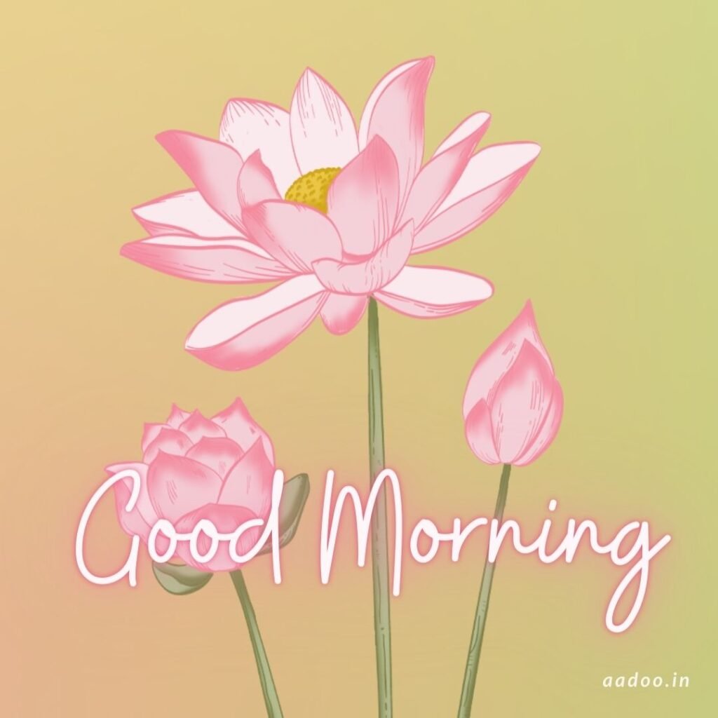 Good Morning Images, New Good Morning Images, Good Morning Images With Quotes, Good Morning Images HD, Special Good Morning Images, Today Special Good Morning Images, Good Morning Beautiful Images, Good Morning Images for Whatsapp, New Today New Good Morning Images, Good Morning Image Download, aadoo.in, best good morning images,